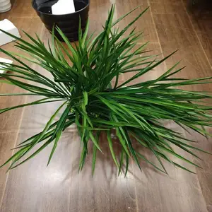 �˹��껨*** ����¥�̷��滨 ����Ծ��