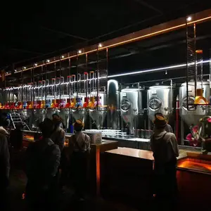 KTV酒吧自酿啤酒设备的价位日产2吨精酿啤酒设备果味啤酒设备