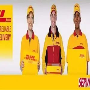 ����DHL���ʿ��-����DHL���-����DHL���������