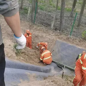 内蒙古包头水泥毯 新型复合浇水速干固化 护坡水泥垫 鱼塘水渠混凝土毯定制