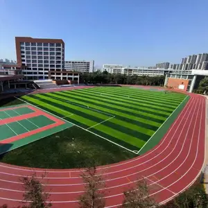 湖州塑胶跑道铺设,湖州篮球场建设,湖州足球场施工,地坪铺设更新