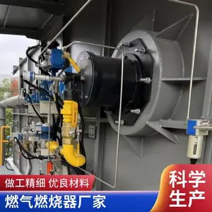 岱鼎燃烧 热镀锌焦炉煤气高炉煤气燃烧器天然气燃烧机源头厂家