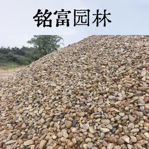 一吨起售鹅卵石-广 东鹅卵石厂家-专 业生 产变电站厂鹅卵石5-8公分