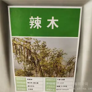 ��������ҩ������ ��ľ���� ��ѿ*** �۸���� ***