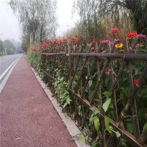 �������ʻ�̳��������դ���������դ��