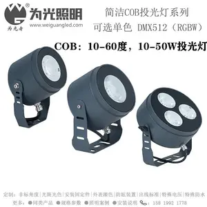 为光照明 户外亮化投光灯 3-400W投光灯系列 景观照明投光灯厂家