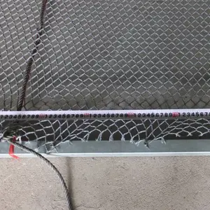 ������Ŀʽ��*** ������ȼ���� ��ɫ��������׹�� ���ּ���