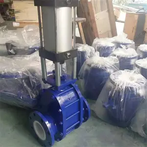 启闭灵活气动双闸板阀 使用寿命长气动双闸板阀 DN80气动双闸板阀