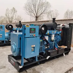 300KW潍柴柴油发电机组 厂家供应 应急备用 全铜无刷