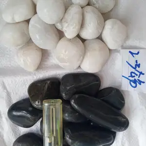 �Ϻ��ֶ���Ӧ˳�����ư�ɫ����ʯ