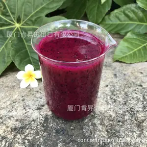 冷冻红心火龙果原浆 带籽去籽 进口NFC