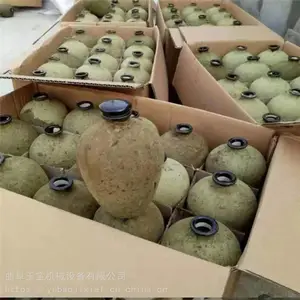 �������ͺ�1��¹��մɾ�ƿ ͨ�ð׾ƿ�ƿ�ܷ�С��̳�Ѳ�