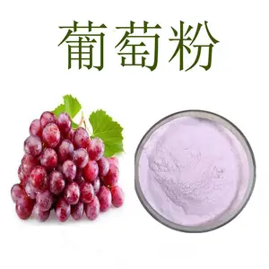 供应 冻干葡萄粉 速溶 食品级增味剂水果汁粉 国标 1kg起订