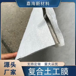 HDPE��������Ĥ����һĤ�����ϳɲ��������˹���������Ŀ