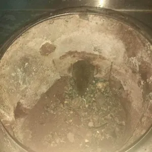 咸阳渭城区老鼠药销售 咸阳老鼠药代理