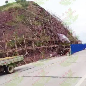 承接全国边坡客土喷播草籽施工