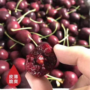 ���ɹŰ����׶�-����ӣ��������������ӭʵ�ؿ���