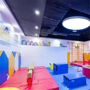 用儿童体适能器材儿童运动馆器械幼儿单双杠吊环