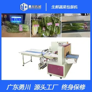 全自动勇川机械YC-350平菇套袋包装机设备