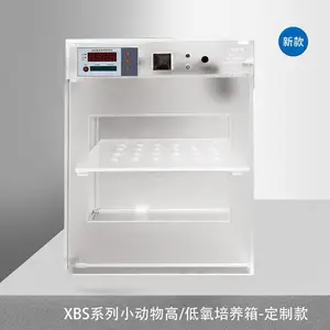 小鼠低氧仓高氧仓动物大鼠实验室低氧培养箱厌氧箱高精度