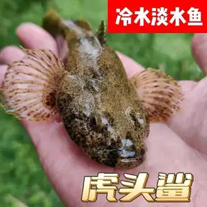 �ʻ�������� ��ˮ��ֳ�����ư߼��������緢�������ٲ���