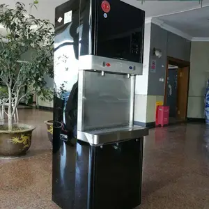 宏华商用开水器 FT-3沸腾式商务型电开水器 双龙头商务直饮机