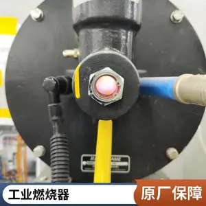 厂房空调机组天然气加热燃烧器 直燃空气加热低氮燃烧器