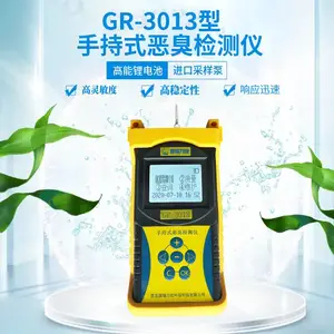 手持式恶臭检测仪 国瑞力恒GR3013型 恶臭快速检测仪器量程可选择