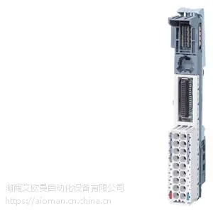 6ES7193-6BP00-0DA0,������ET 200������Ԫ����ģ��