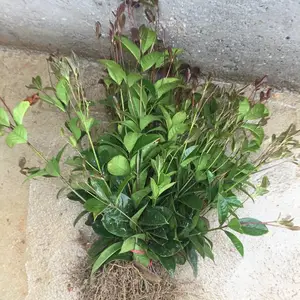 �ļ��� �����ϲ������̵��̻��õ�Ǥ��С��***�� �ͼ�����