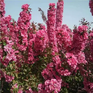 9����Ѥ������ �ο��۸� ˧��ũҵ ��������5���ֱ�������