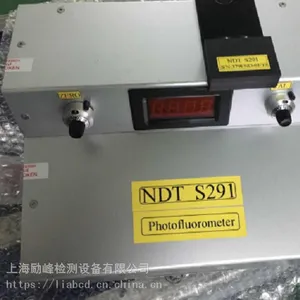 �����NDT ITALIANAS291ӫ�����ȼ�