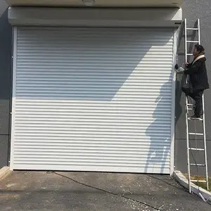 ����������,��������
