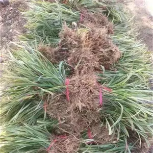 ���ڽ���� ���ǽ�����������󶬲��ظ�����