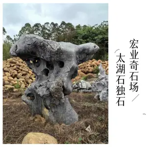 滨州太湖石独石厂家/太湖石独石园林石置景/太湖石独石多少钱一个