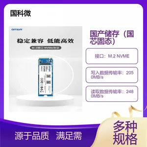 GITSTAR 集特纯国产化NVMe固态硬盘M.2 2280国科微主控多规格