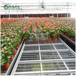 移动苗床源头工厂 规模化产能 工程大单可按时交付