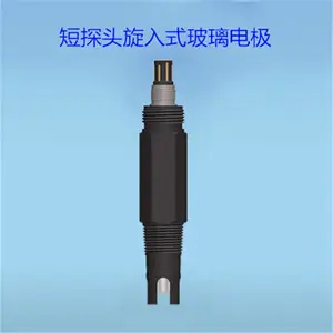 短探头旋入式玻璃电极图片-短探头旋入式玻璃电极-招远大明科技