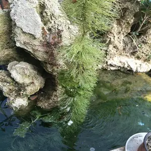 ��Դ�� ��ˮ������Ĥ���嵯������ �������� ���� �Ͼ�