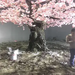 ���� ���� �Ƶ���÷����� ��ƶ��Ʒ�����