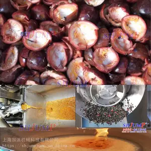 百香果汁加工生产线 高倍体百香果汁加工生产线 百香果干加工设备