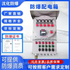 IIC级防爆照明配电箱 隔爆型断路器开关控制箱 电源检修箱插座箱