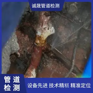 专业查找水管漏水点 听漏 消防管道保压检测 诚晟技术实力强 快捷高效