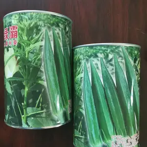 杂交一代绿灞水果秋葵种子萼片新鲜,卖相好