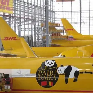 ����DHL���ʿ��-����DHL���-����DHL���������