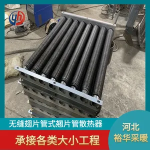 ԣʥ�� ��Ƶ����Ƭɢ���� �͸�ʴ��Ƭ�������߲˴�����SRL-20��10/2