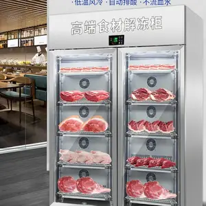 中汇大型冻肉解冻设备 食品厂冷冻肉解冻机