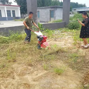 ũ��԰�ִ�ݻ� �ĳ�̹�԰ũ�����ݻ� ���Ͷ�������ʽ��ݻ�