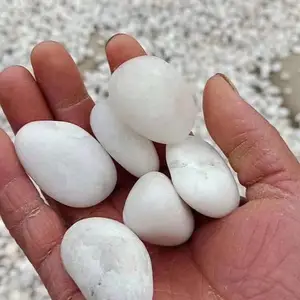 山东潍坊五彩雨花石鹅卵石米黄色哪家好找腾龙石材