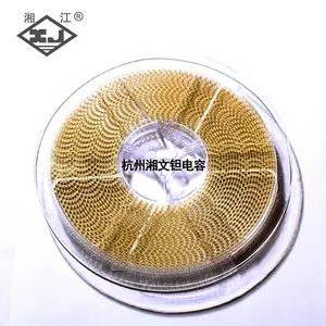 �潭XJ����� 10V22��F A����Ƭ�����